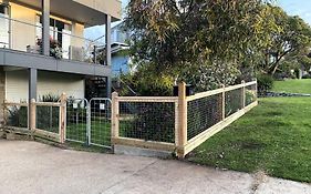 Salty Paws Dog Friendly Luxe Cottage